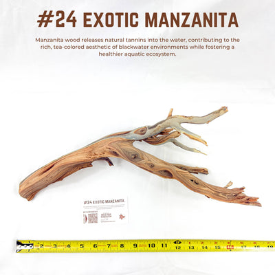 Exotic Manzanita | WYSIWYG Pieces