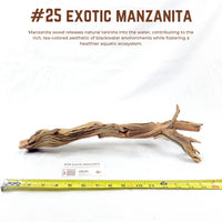 Exotic Manzanita | WYSIWYG Pieces