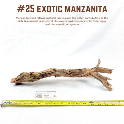 Exotic Manzanita | WYSIWYG Pieces