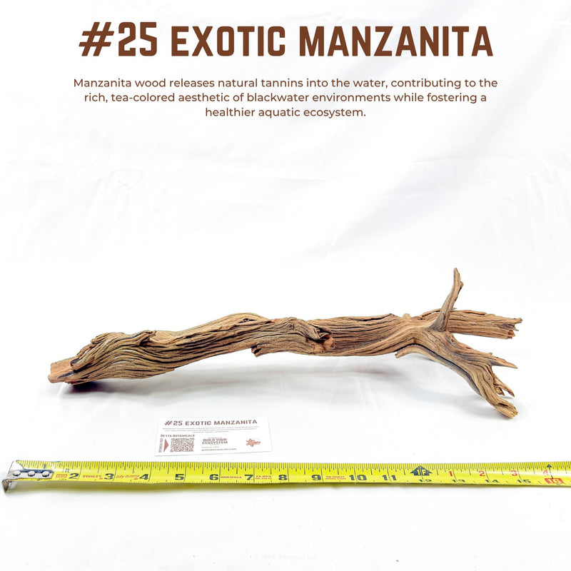 Exotic Manzanita | WYSIWYG Pieces