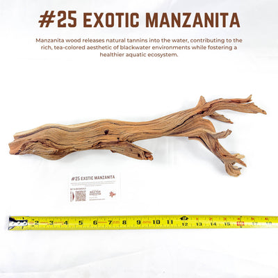 Exotic Manzanita | WYSIWYG Pieces