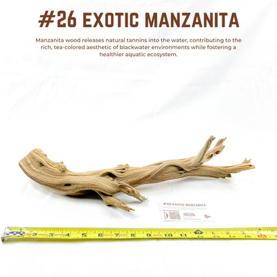 Exotic Manzanita | WYSIWYG Pieces