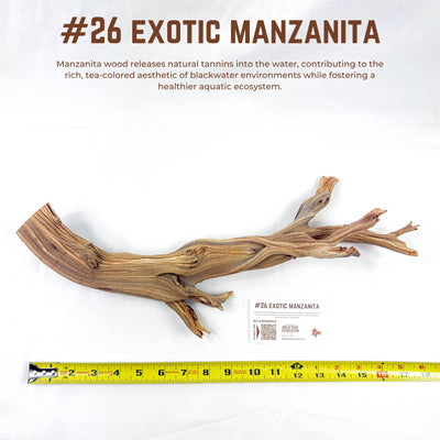 Exotic Manzanita | WYSIWYG Pieces