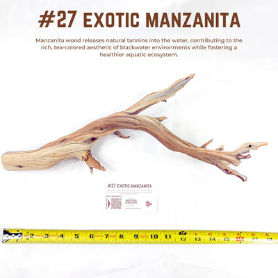 Exotic Manzanita | WYSIWYG Pieces