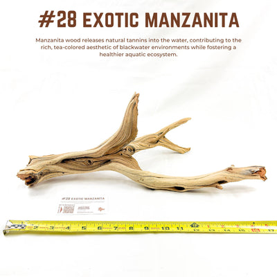 Exotic Manzanita | WYSIWYG Pieces
