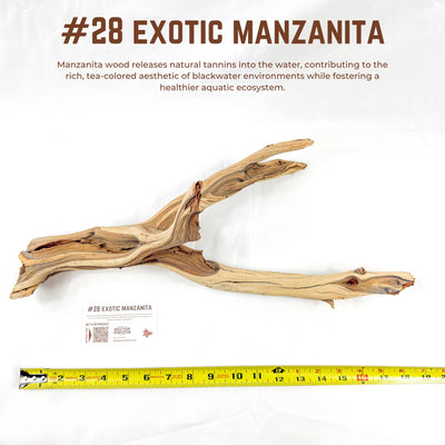Exotic Manzanita | WYSIWYG Pieces