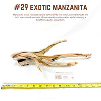 Exotic Manzanita | WYSIWYG Pieces