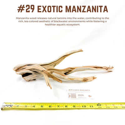 Exotic Manzanita | WYSIWYG Pieces