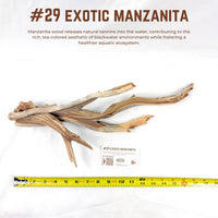Exotic Manzanita | WYSIWYG Pieces