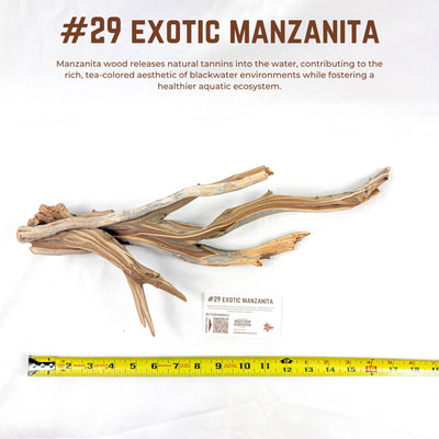 Exotic Manzanita | WYSIWYG Pieces