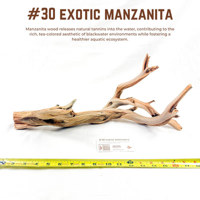 Exotic Manzanita | WYSIWYG Pieces