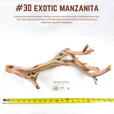 Exotic Manzanita | WYSIWYG Pieces