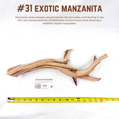 Exotic Manzanita | WYSIWYG Pieces