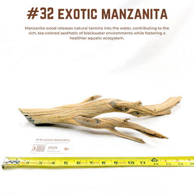 Exotic Manzanita | WYSIWYG Pieces