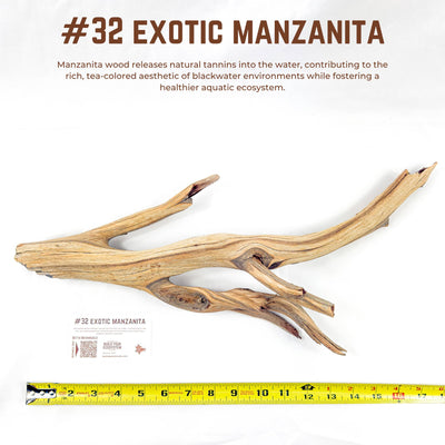 Exotic Manzanita | WYSIWYG Pieces
