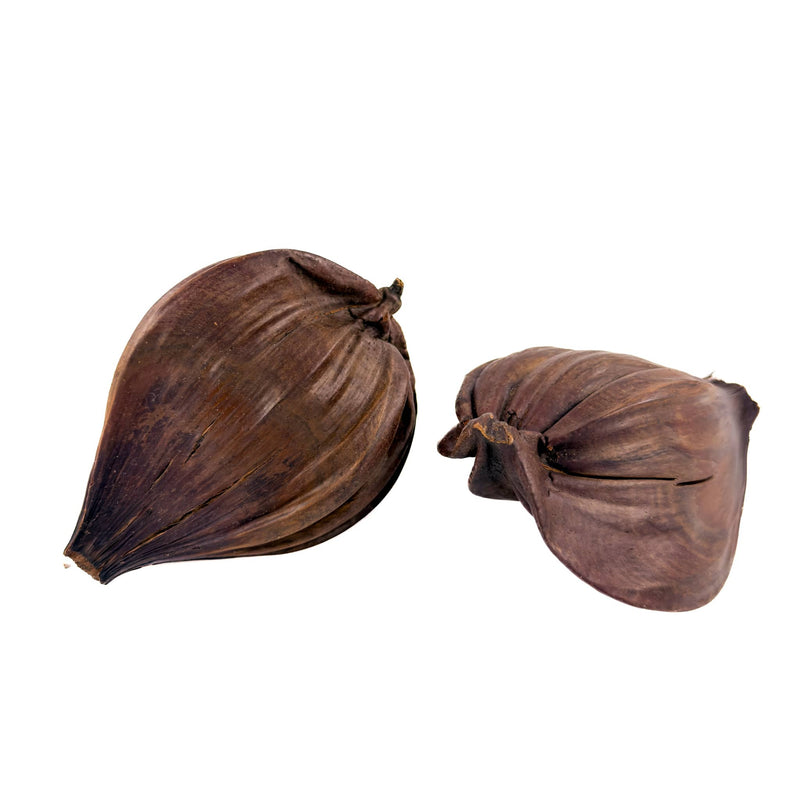 Two dried Nipa palm husks with a smooth, dark brown surface, ideal for blackwater aquariums and bioactive enclosures from Betta Botanicals.