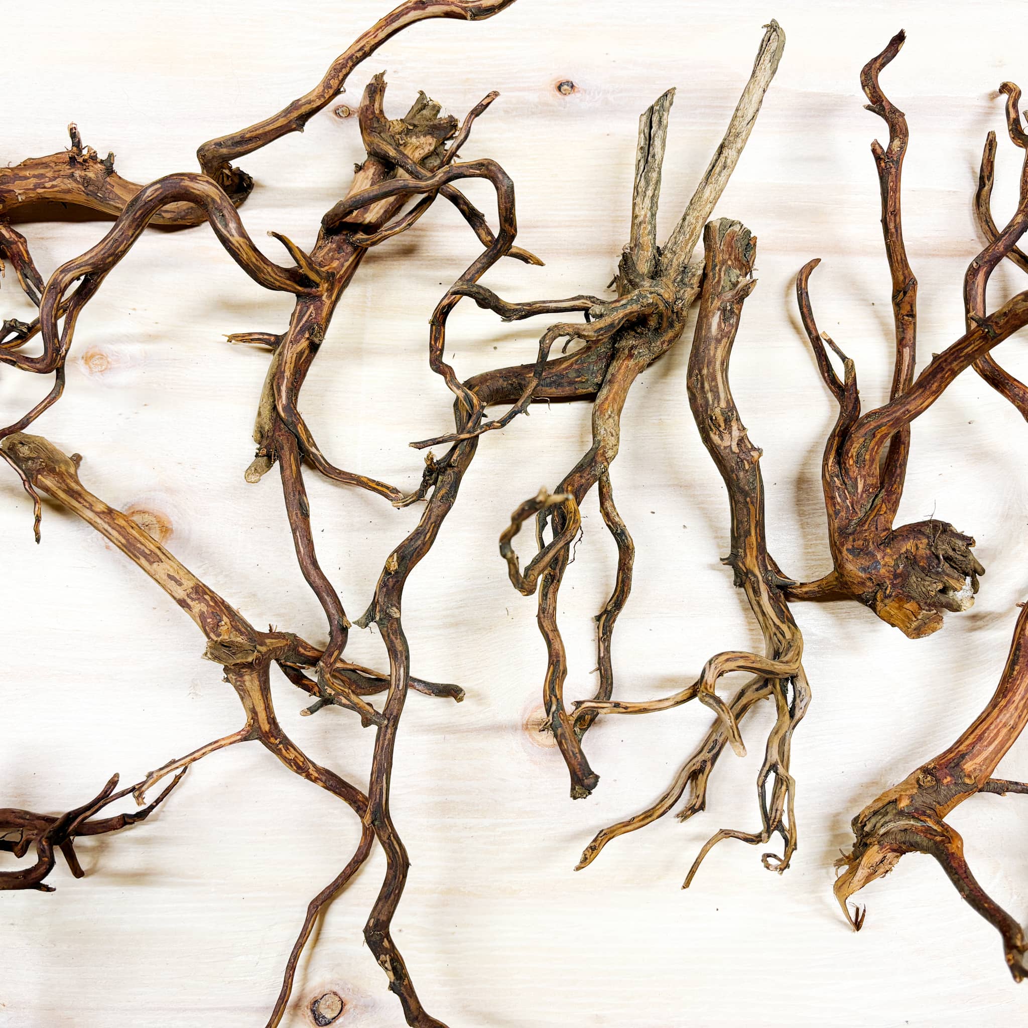 Altingia wood against a wood background to showcase the variability in specimens at Betta Botanicals.