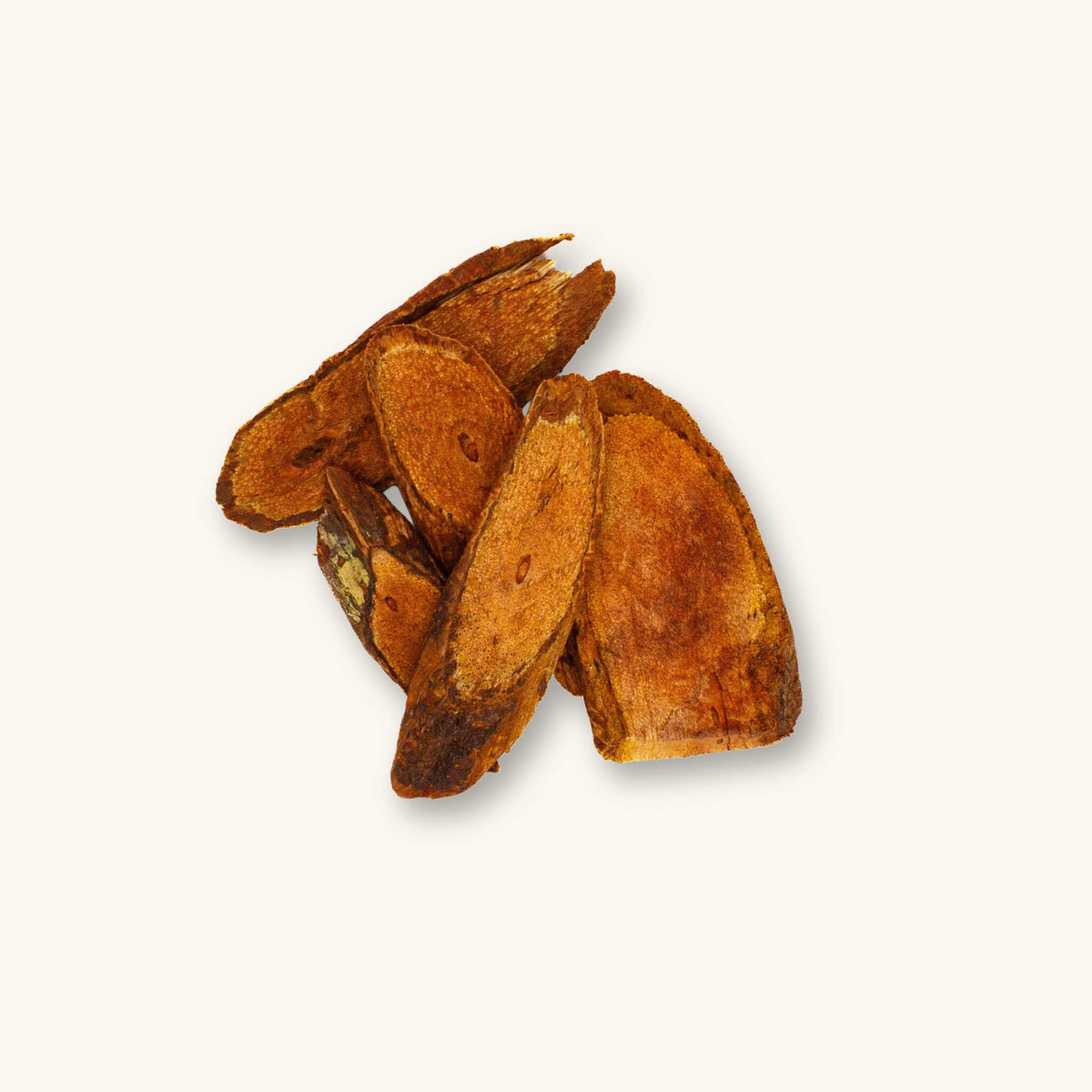 Red Bajakah Root (Spatholobus littoralis) pieces dried for use in blackwater aquariums, biotopes, and bioactive enclosures, photographed on a natural background at Betta Botanicals.