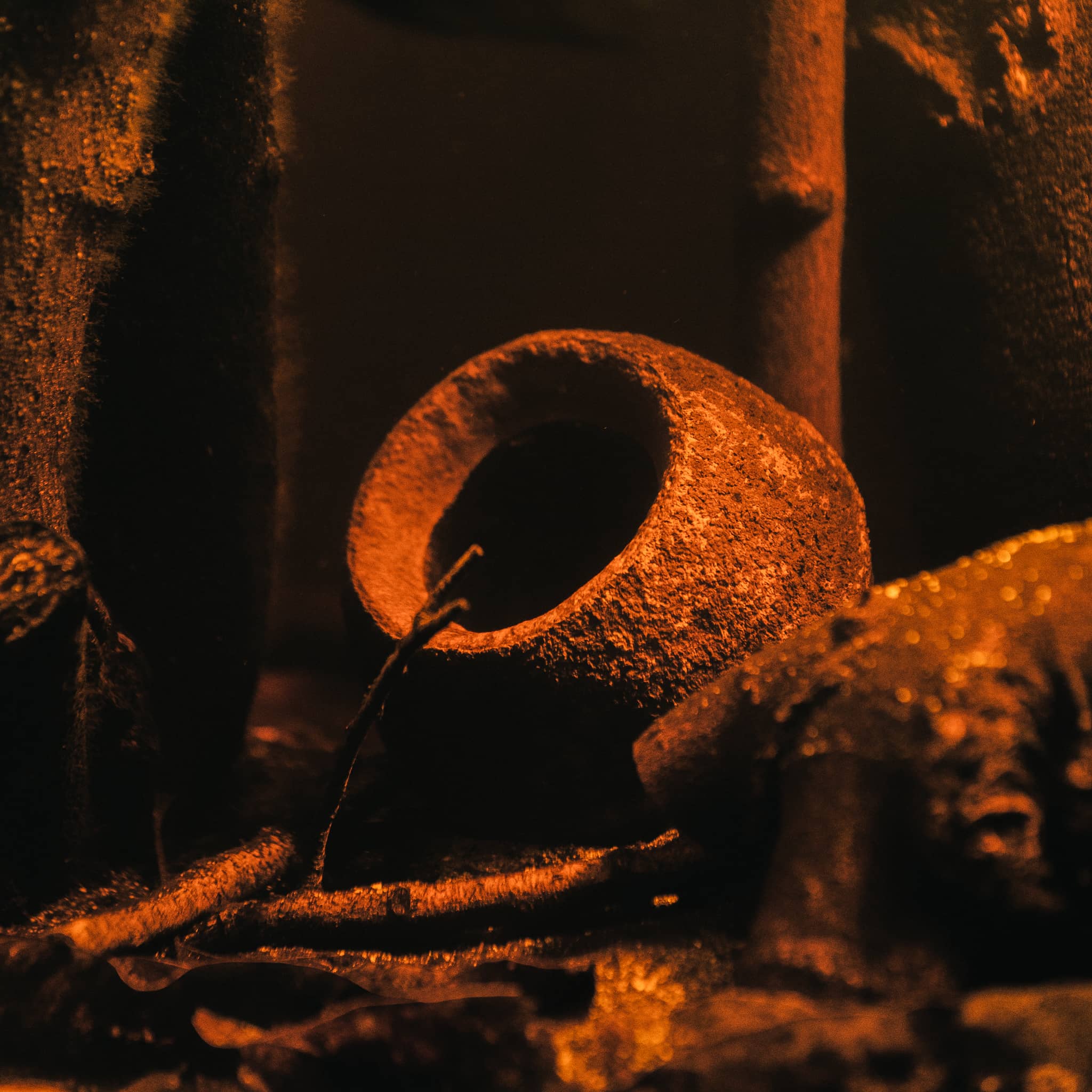 A large hollow sapucaia seed pod sits on a sandy blackwater biotope aquarium substrate at Betta Botanicals.