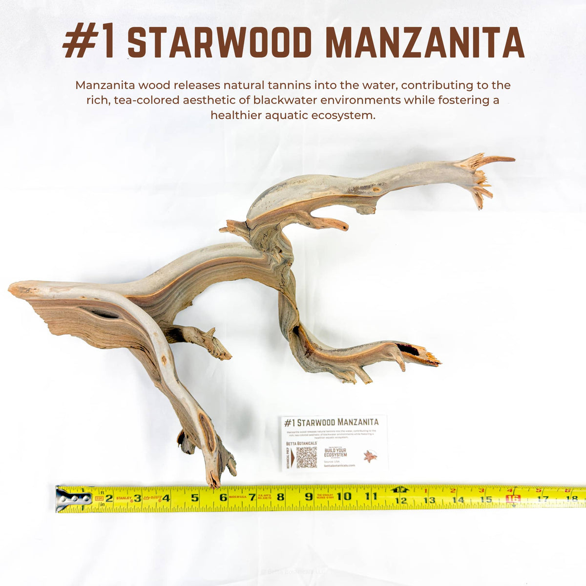 Starwood Manzanita | WYSIWYG Pieces