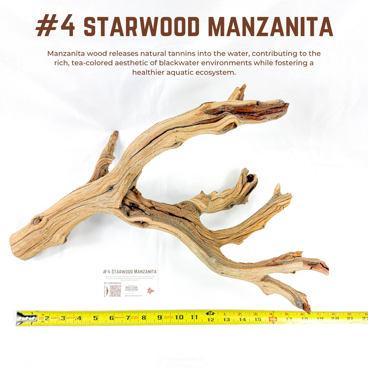 Starwood Manzanita | WYSIWYG Pieces