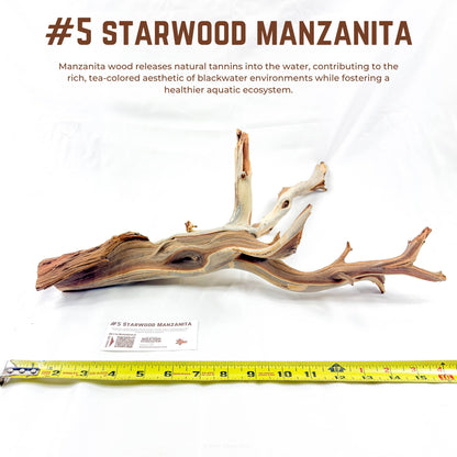 Starwood Manzanita | WYSIWYG Pieces