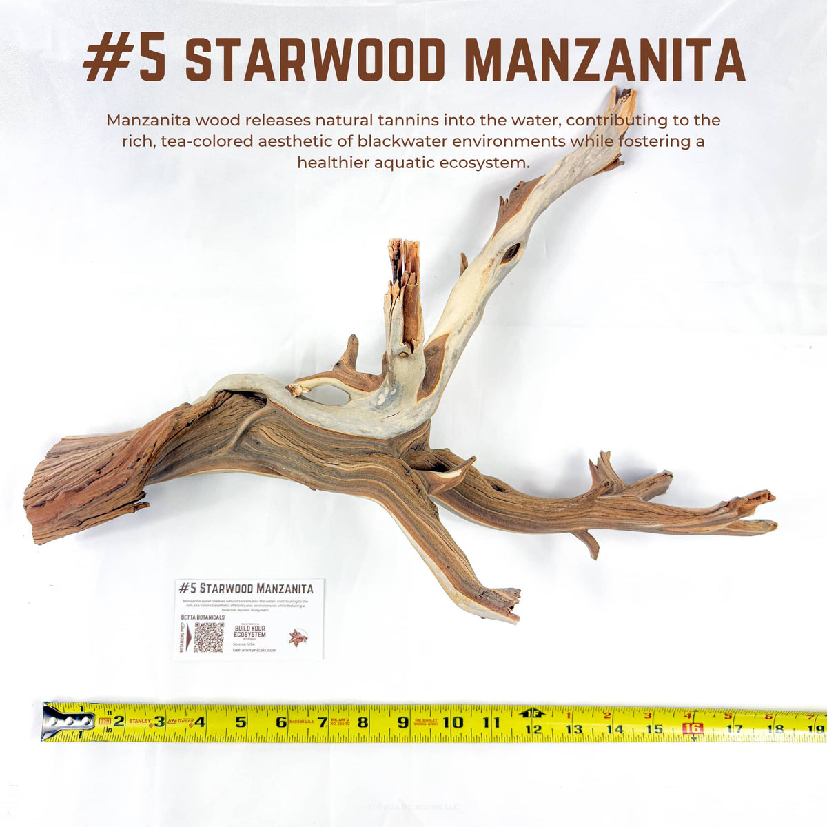 Starwood Manzanita | WYSIWYG Pieces
