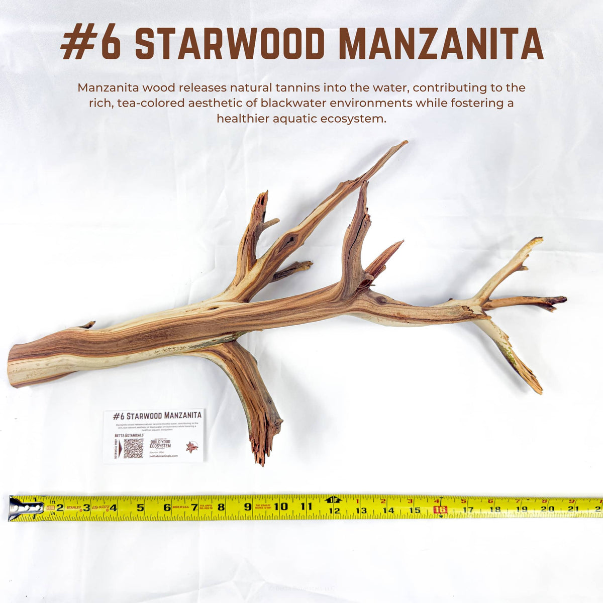 Starwood Manzanita | WYSIWYG Pieces