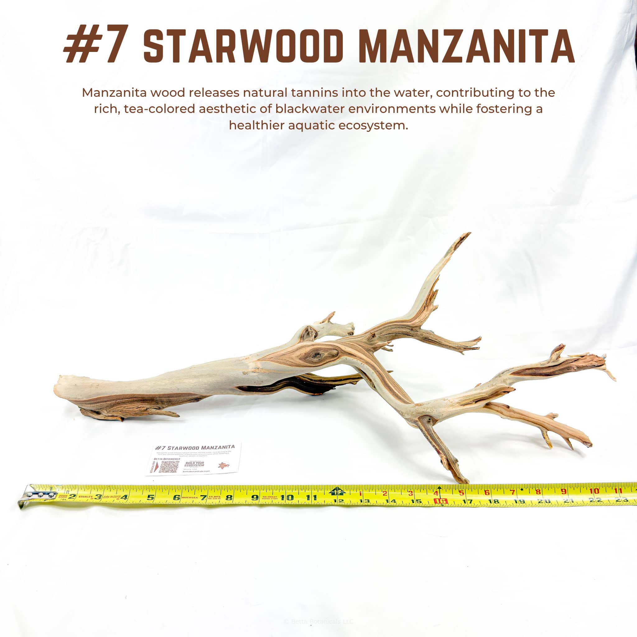 Starwood Manzanita | WYSIWYG Pieces