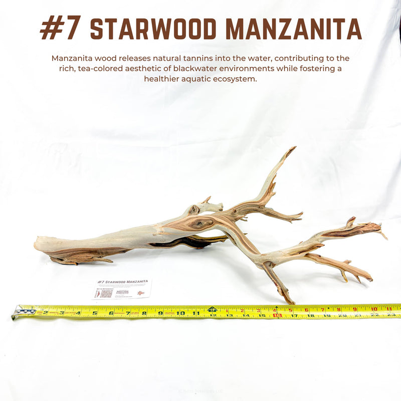 Starwood Manzanita | WYSIWYG Pieces