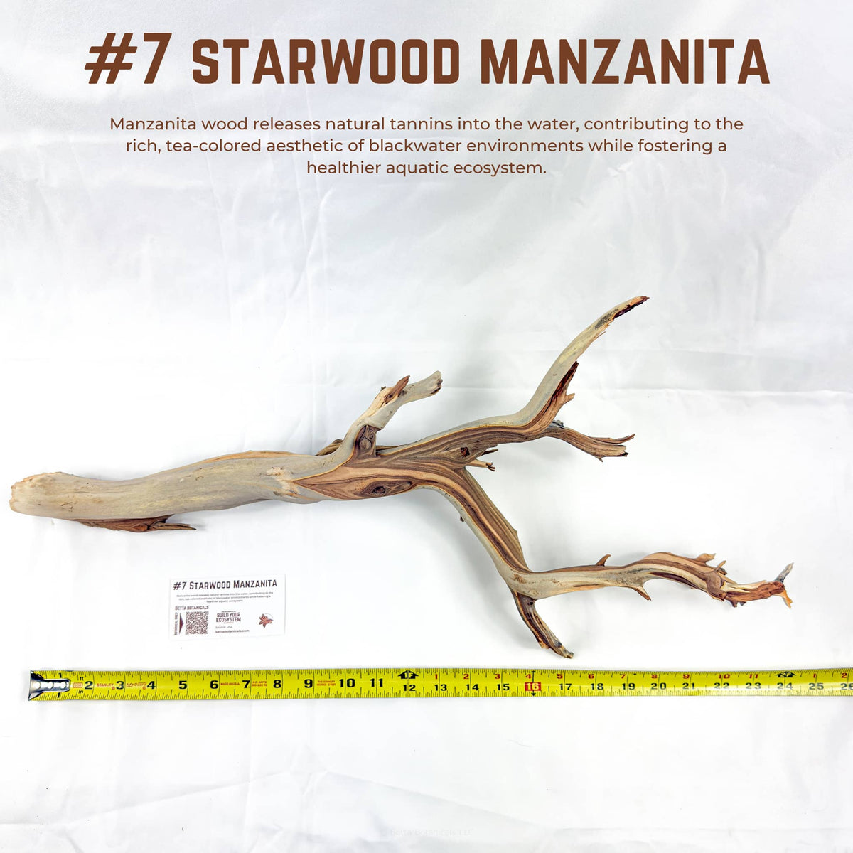 Starwood Manzanita | WYSIWYG Pieces