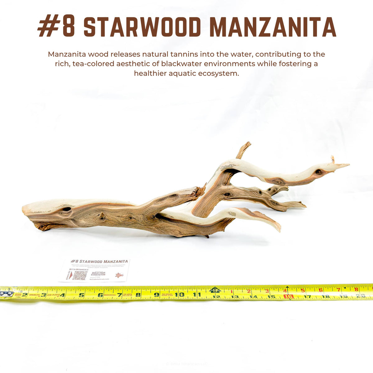 Starwood Manzanita | WYSIWYG Pieces