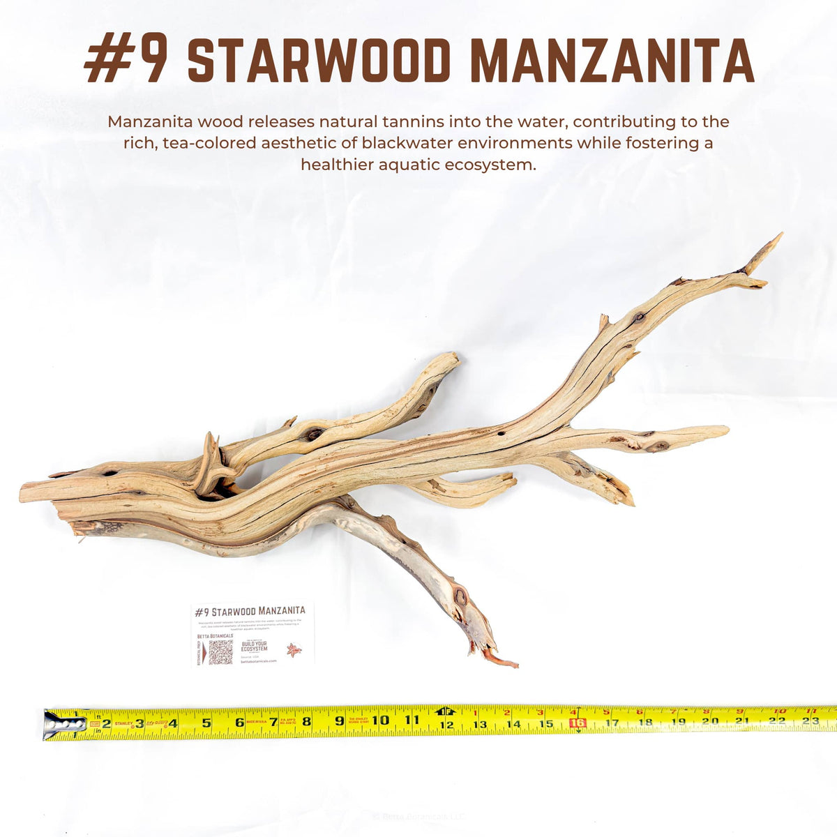 Starwood Manzanita | WYSIWYG Pieces
