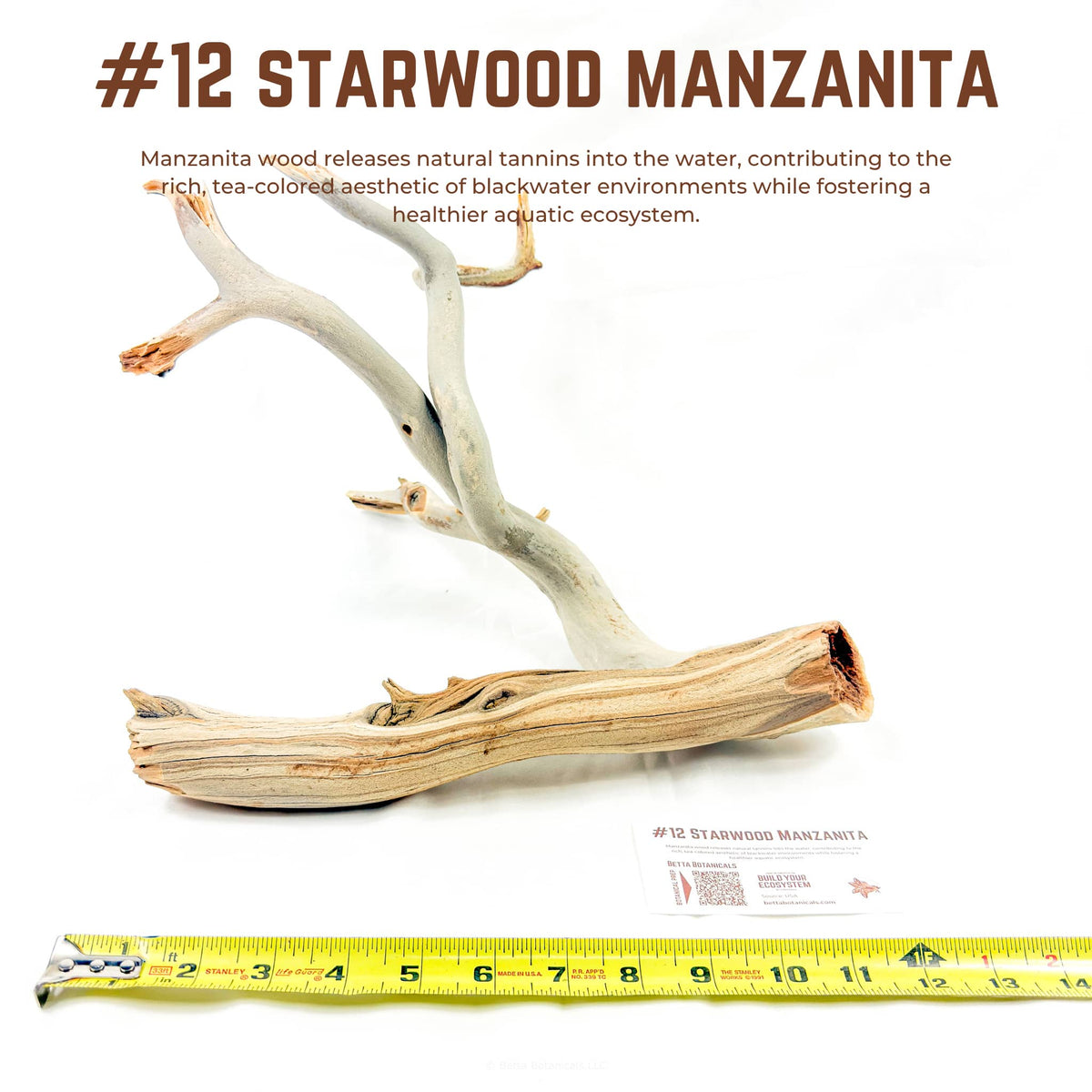 Starwood Manzanita | WYSIWYG Pieces