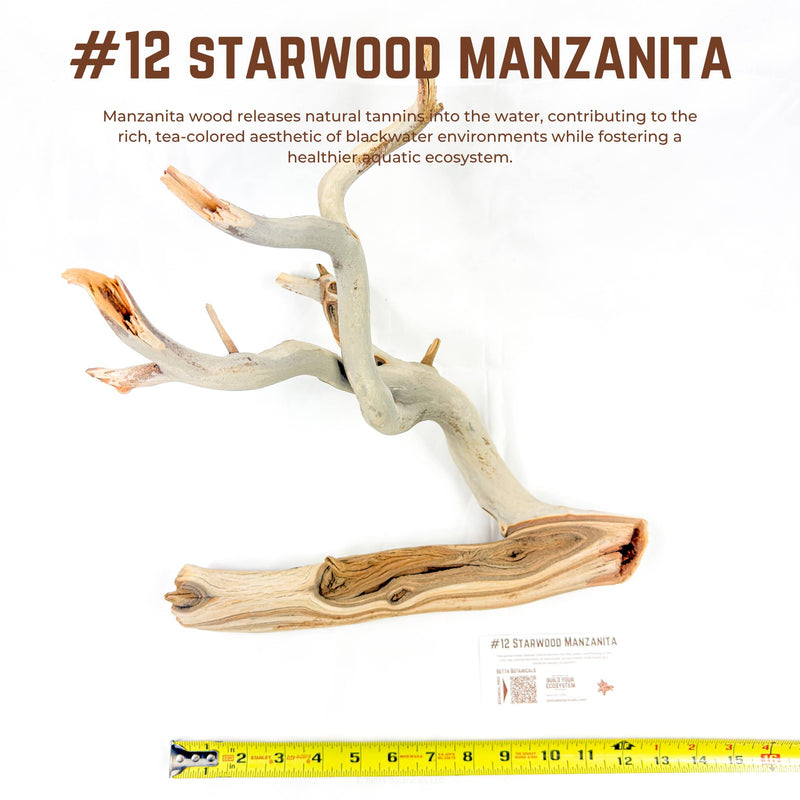 Starwood Manzanita | WYSIWYG Pieces