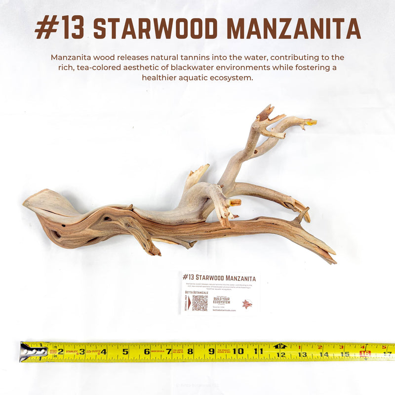 Starwood Manzanita | WYSIWYG Pieces