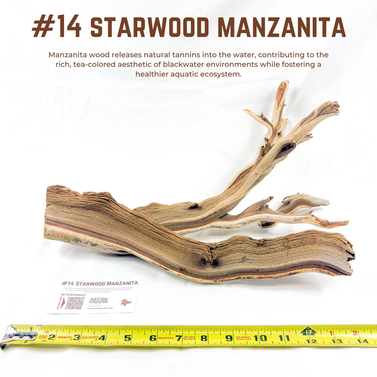 Starwood Manzanita | WYSIWYG Pieces