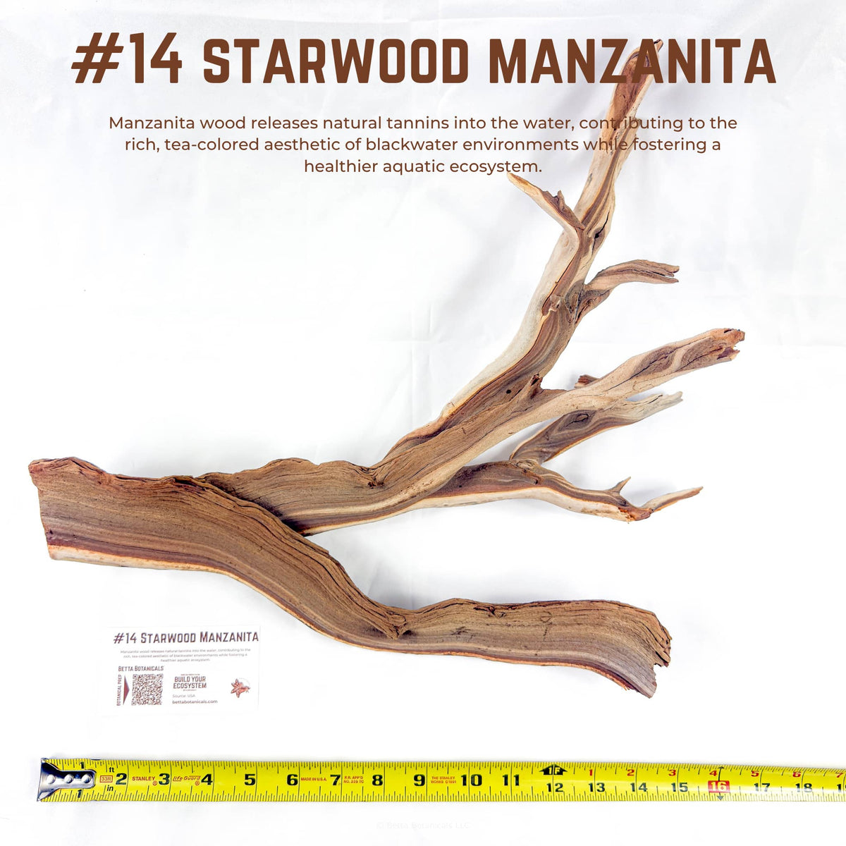 Starwood Manzanita | WYSIWYG Pieces