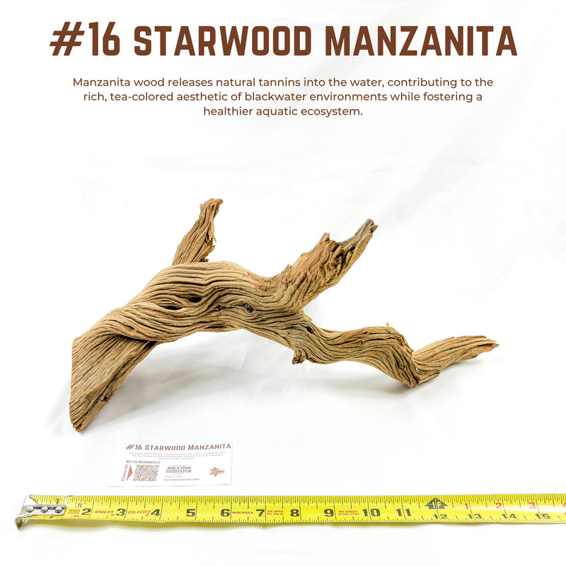 Starwood Manzanita | WYSIWYG Pieces