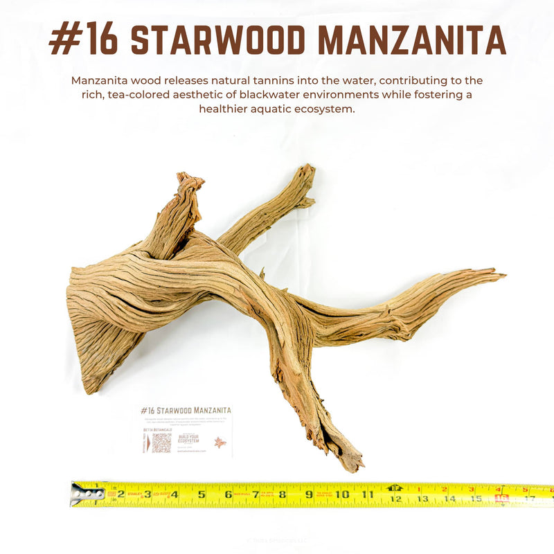Starwood Manzanita | WYSIWYG Pieces
