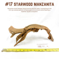 Starwood Manzanita | WYSIWYG Pieces