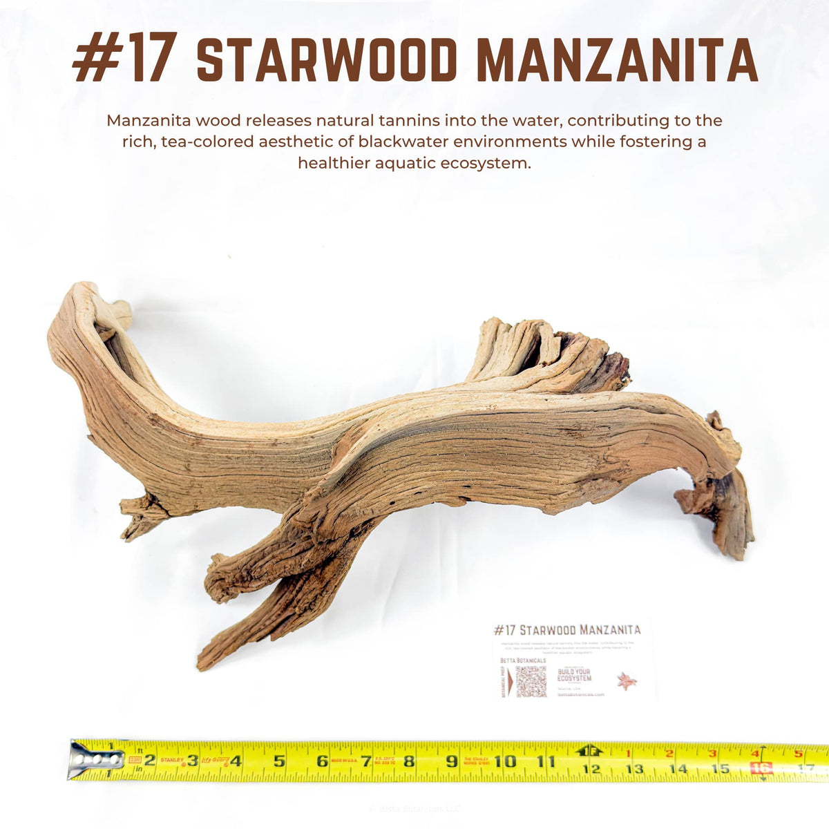 Starwood Manzanita | WYSIWYG Pieces
