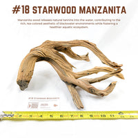 Starwood Manzanita | WYSIWYG Pieces