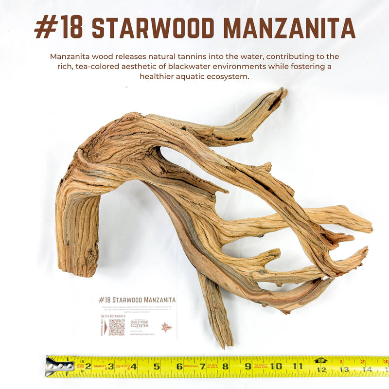 Starwood Manzanita | WYSIWYG Pieces