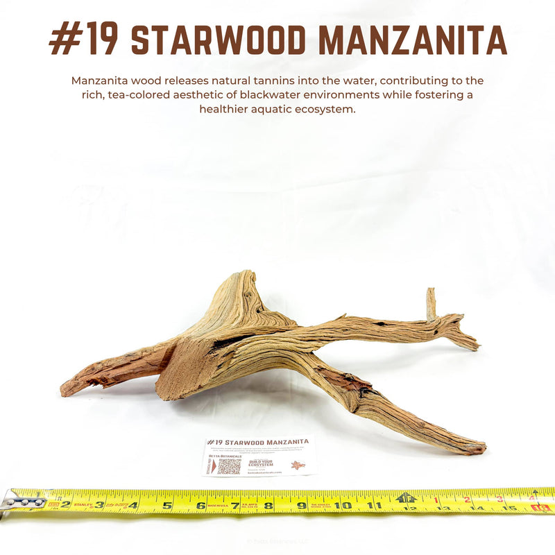 Starwood Manzanita | WYSIWYG Pieces