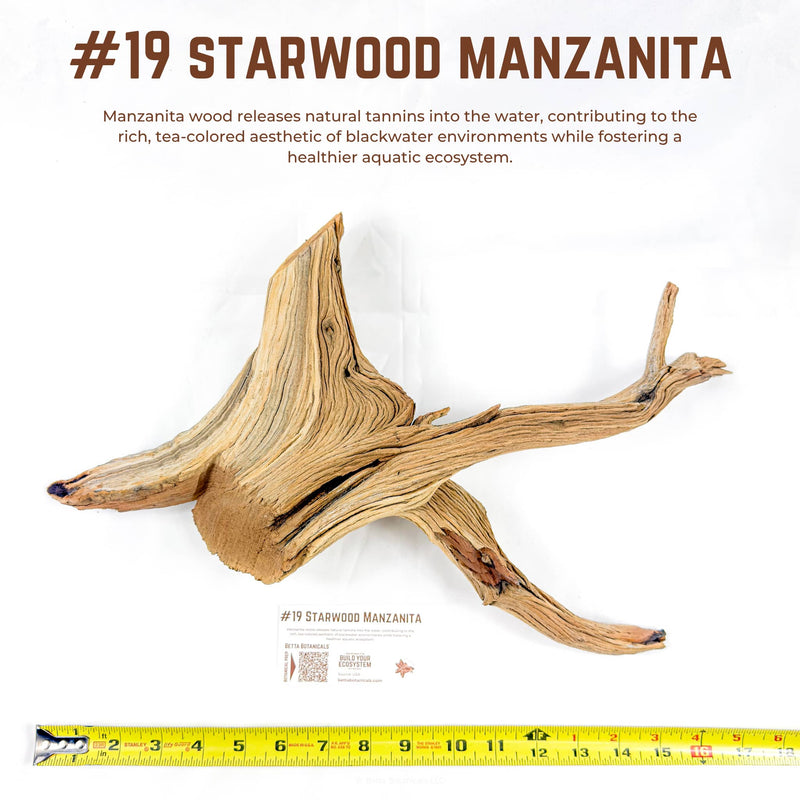 Starwood Manzanita | WYSIWYG Pieces