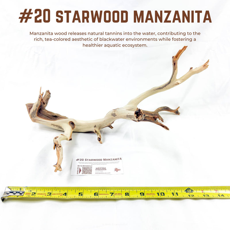 Starwood Manzanita | WYSIWYG Pieces
