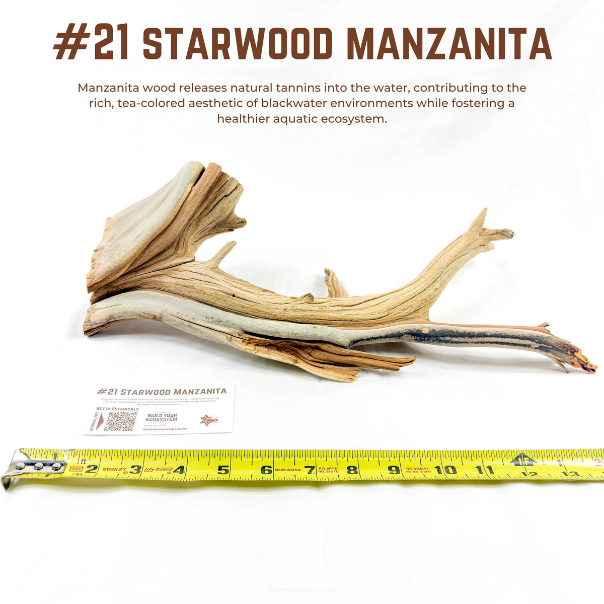 Starwood Manzanita | WYSIWYG Pieces