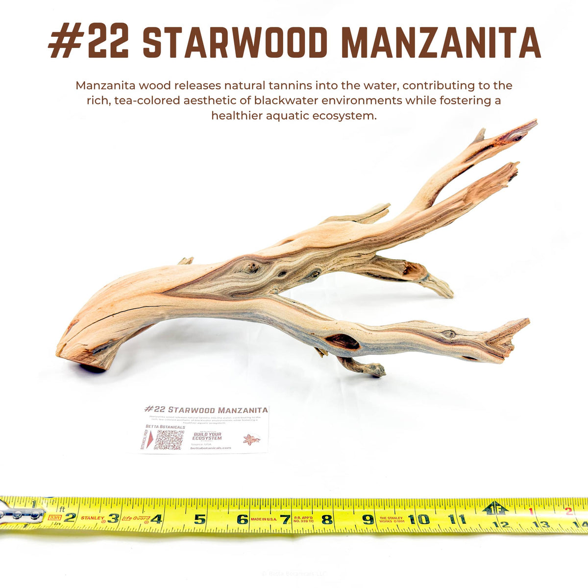 Starwood Manzanita | WYSIWYG Pieces