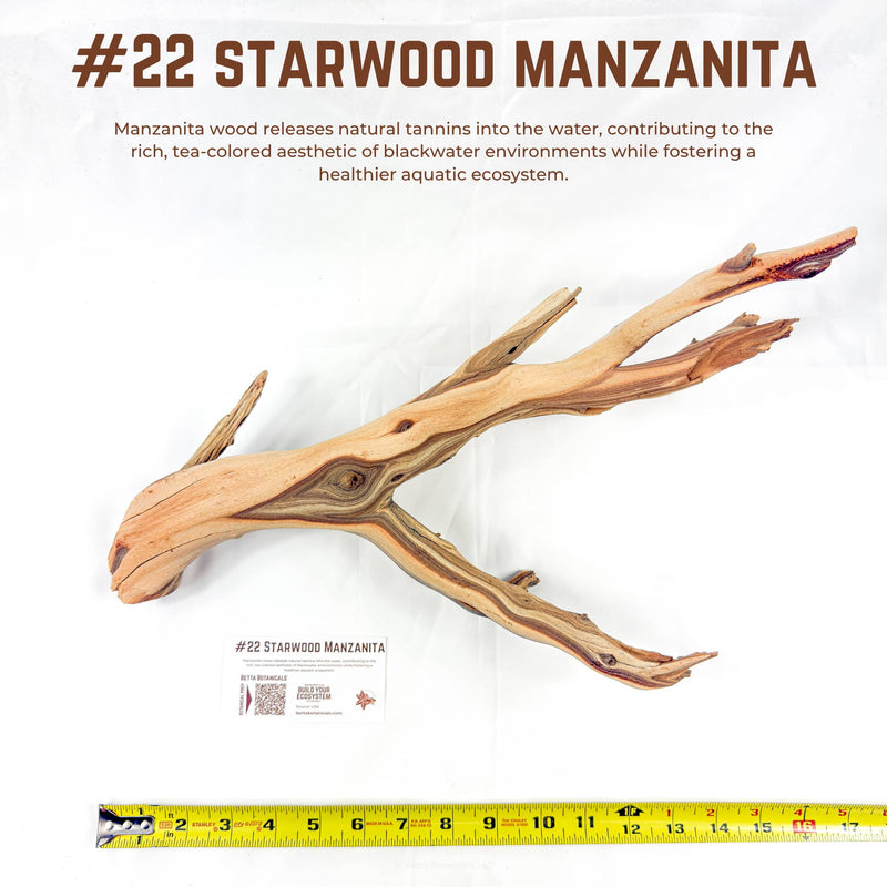 Starwood Manzanita | WYSIWYG Pieces